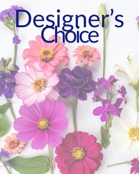 Mona's Designer Choice