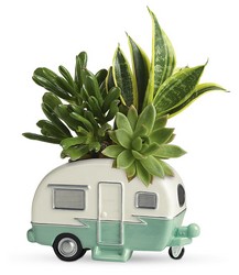 Cool Camper Succulent Garden from Mona's Floral Creations, local florist in Tampa, FL