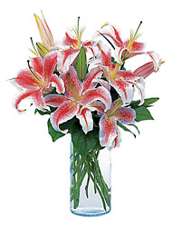 Lovely Lilies from Mona's Floral Creations, local florist in Tampa, FL